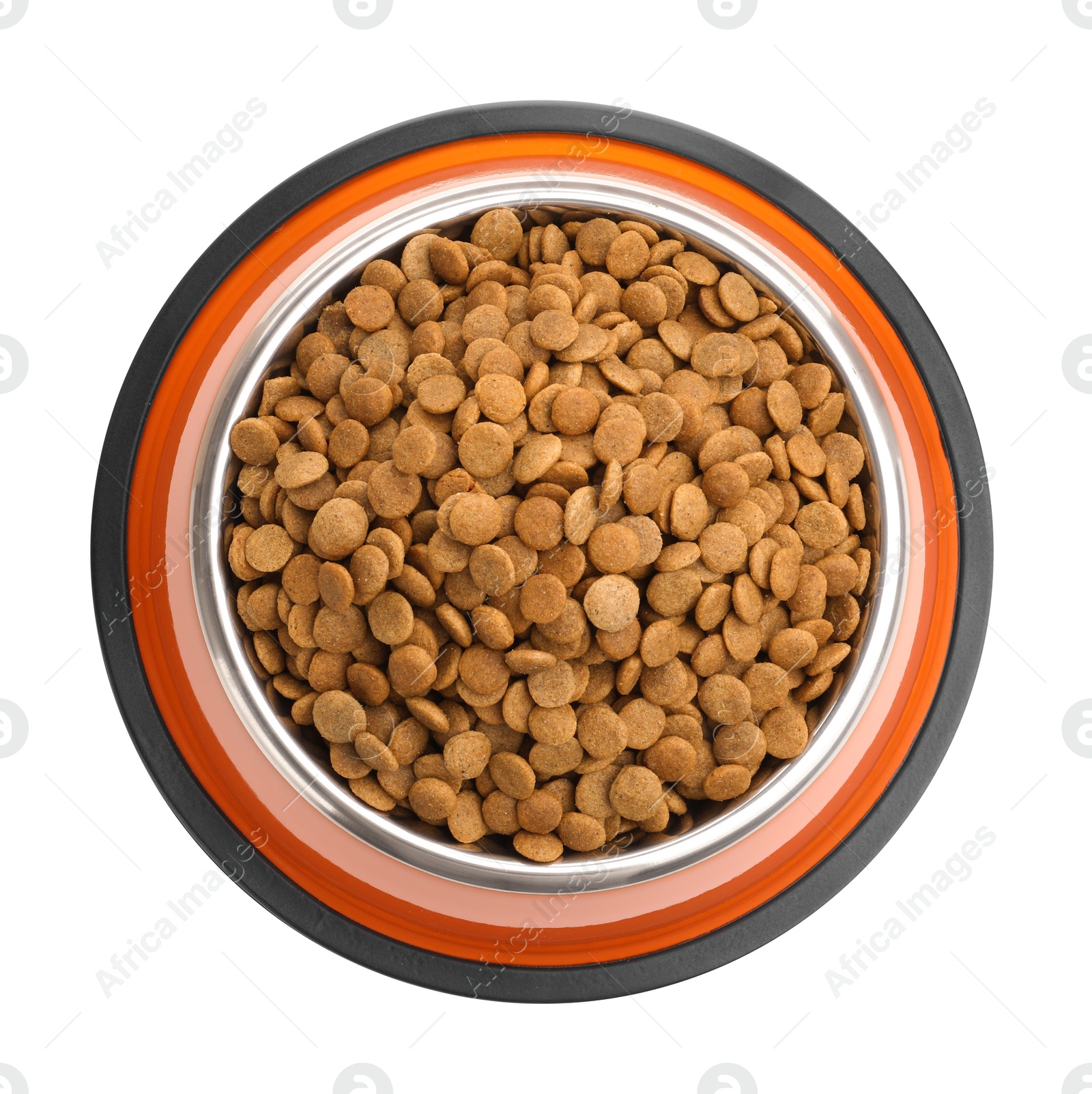 Dry pet food in feeding bowl isolated on white, top view Photo of Dry pet food in feeding bowl isolated on white, top view