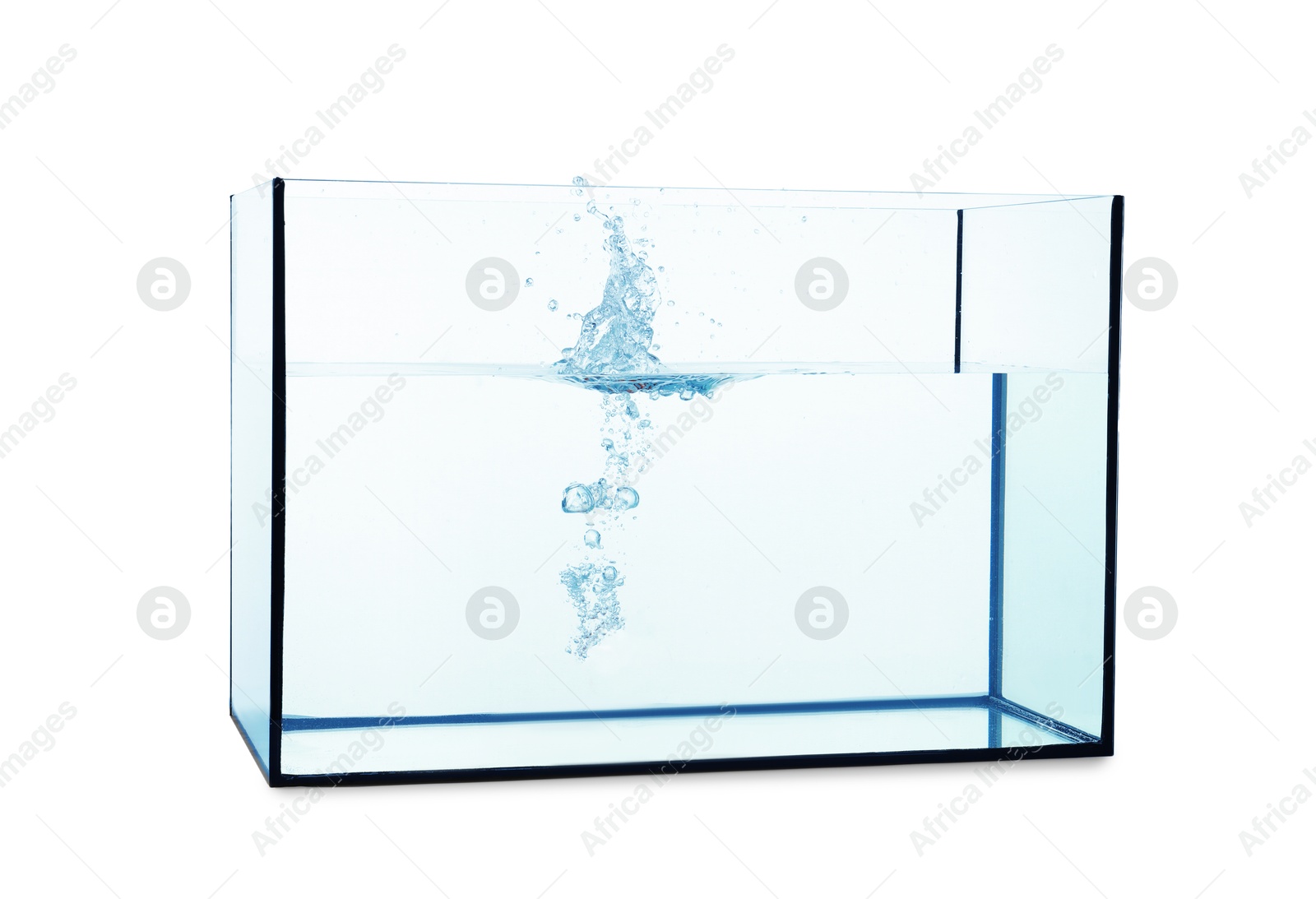 Glass aquarium with splashing water isolated on white Photo of Glass aquarium with splashing water isolated on white