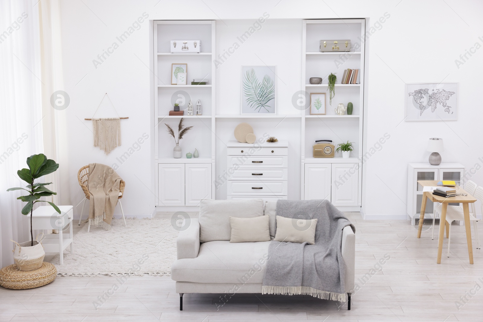 Stylish living room with beautiful furniture and houseplant Photo of Stylish living room with beautiful furniture and houseplant