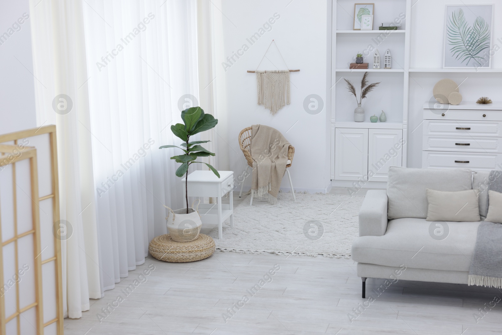 Stylish living room with beautiful furniture and houseplant Photo of Stylish living room with beautiful furniture and houseplant