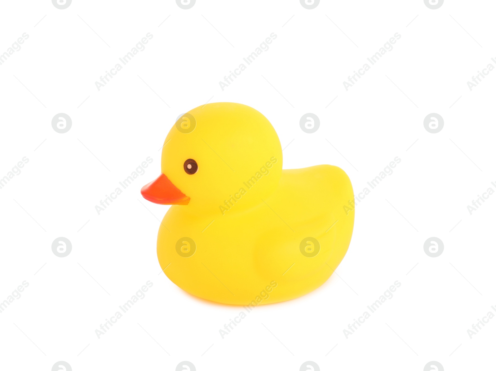 One cute rubber duck isolated on white Photo of One cute rubber duck isolated on white