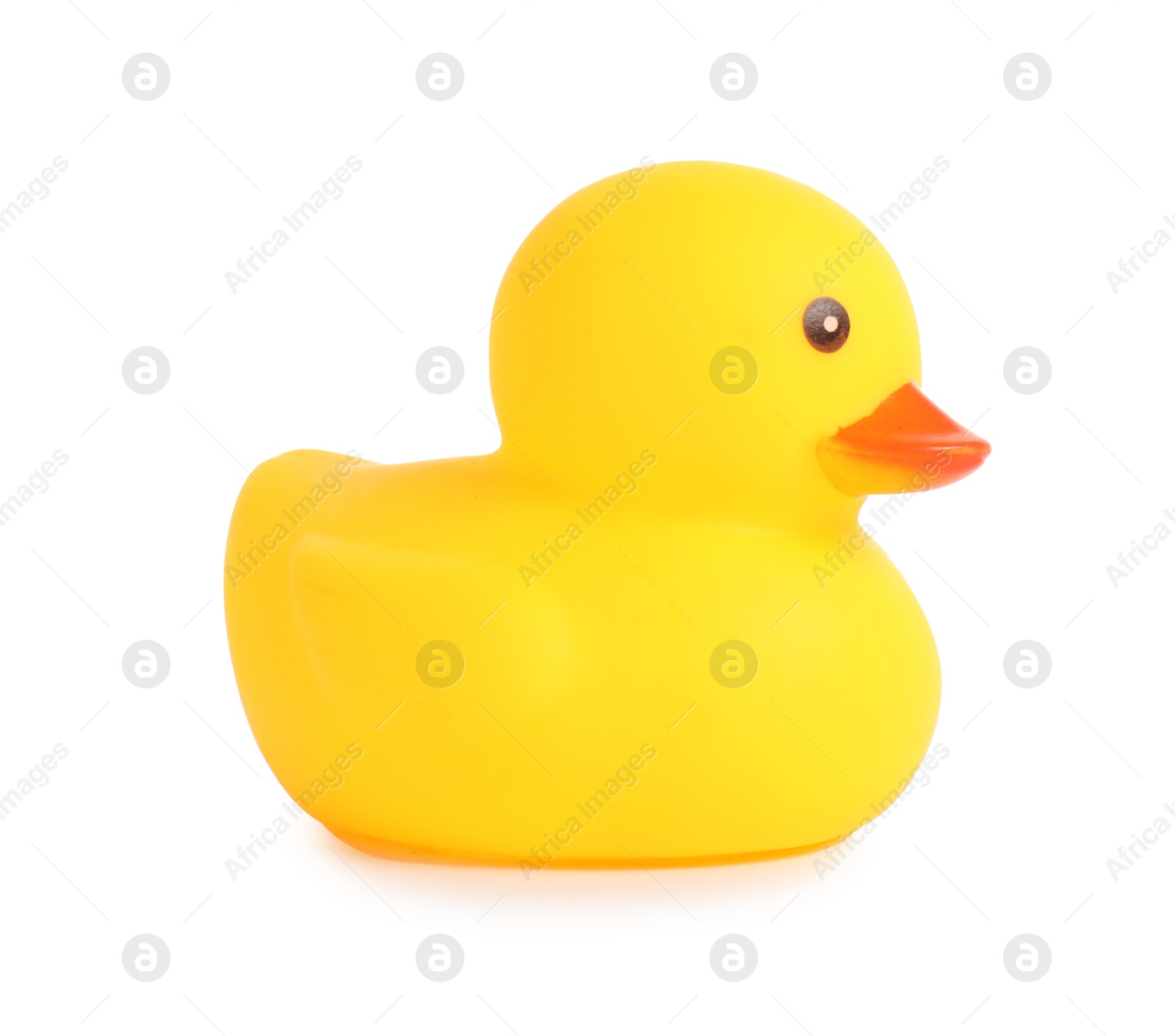 One cute rubber duck isolated on white Photo of One cute rubber duck isolated on white