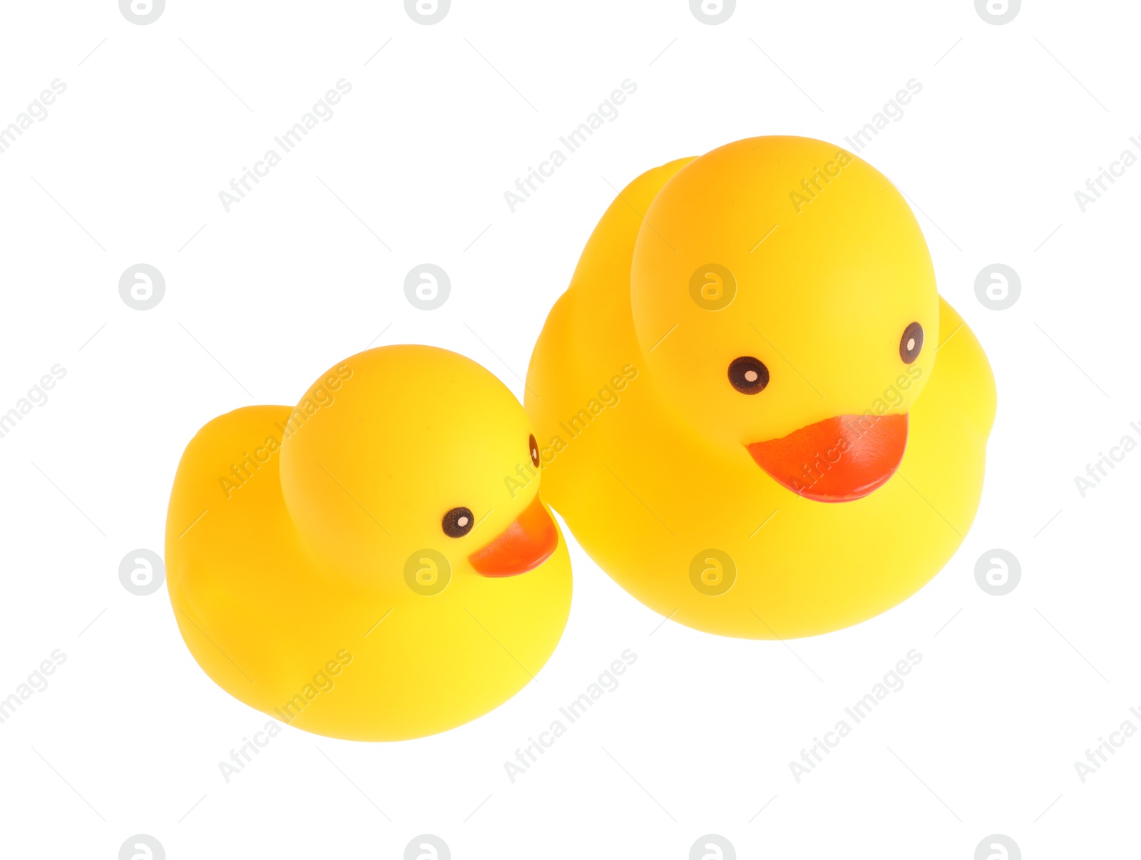 Cute rubber ducks isolated on white. Children's toy Photo of Cute rubber ducks isolated on white. Children's toy