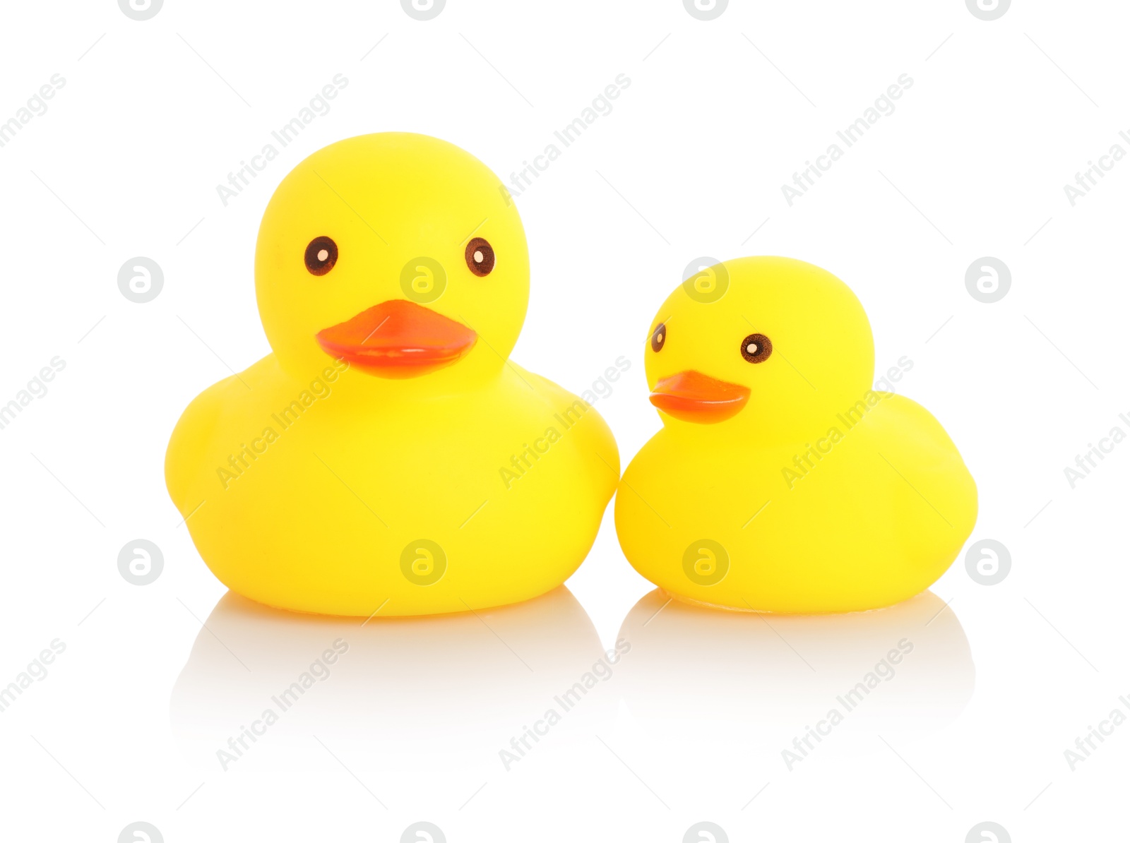 Cute rubber ducks on mirror surface against white background Photo of Cute rubber ducks on mirror surface against white background