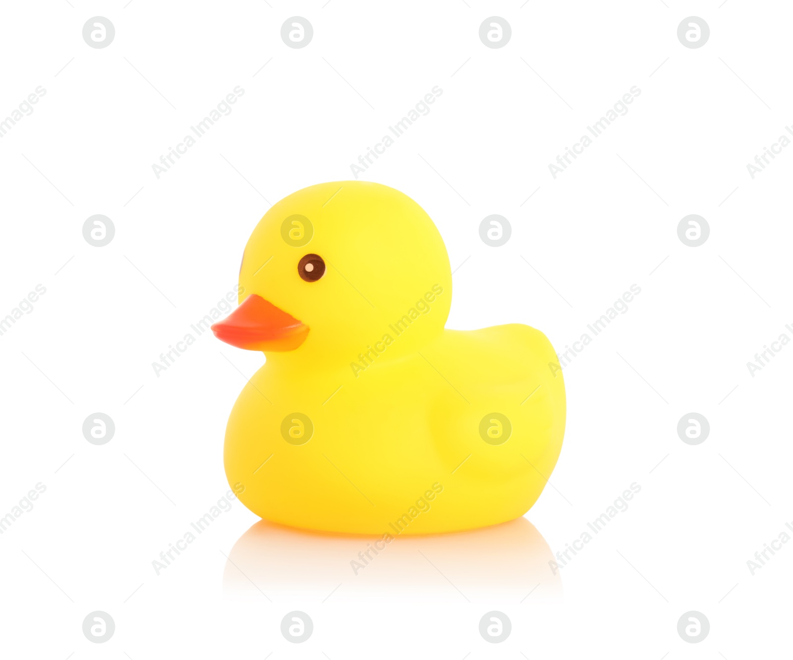 One cute rubber duck on mirror surface against white background Photo of One cute rubber duck on mirror surface against white background