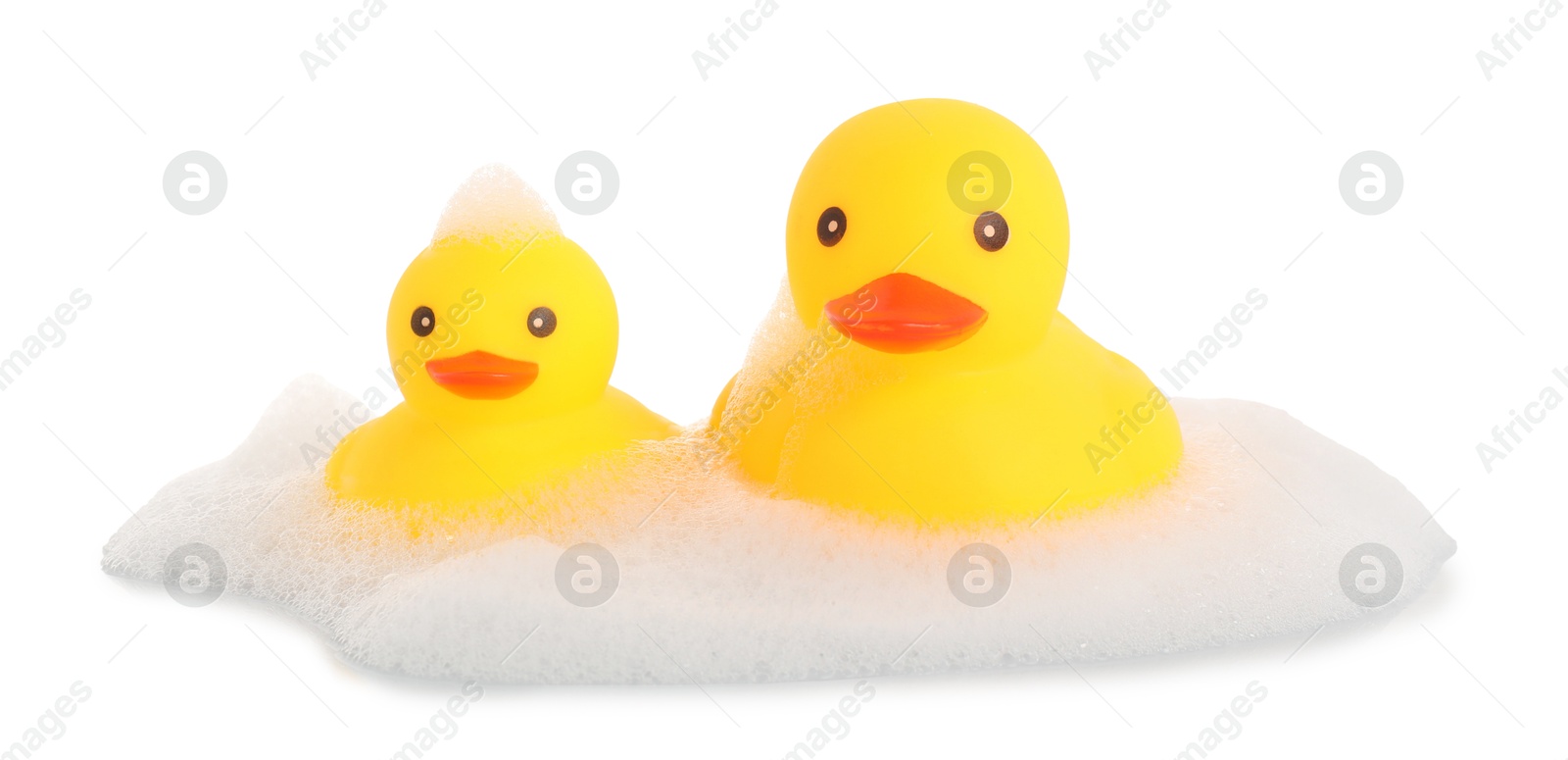 Cute rubber ducks and foam isolated on white Photo of Cute rubber ducks and foam isolated on white