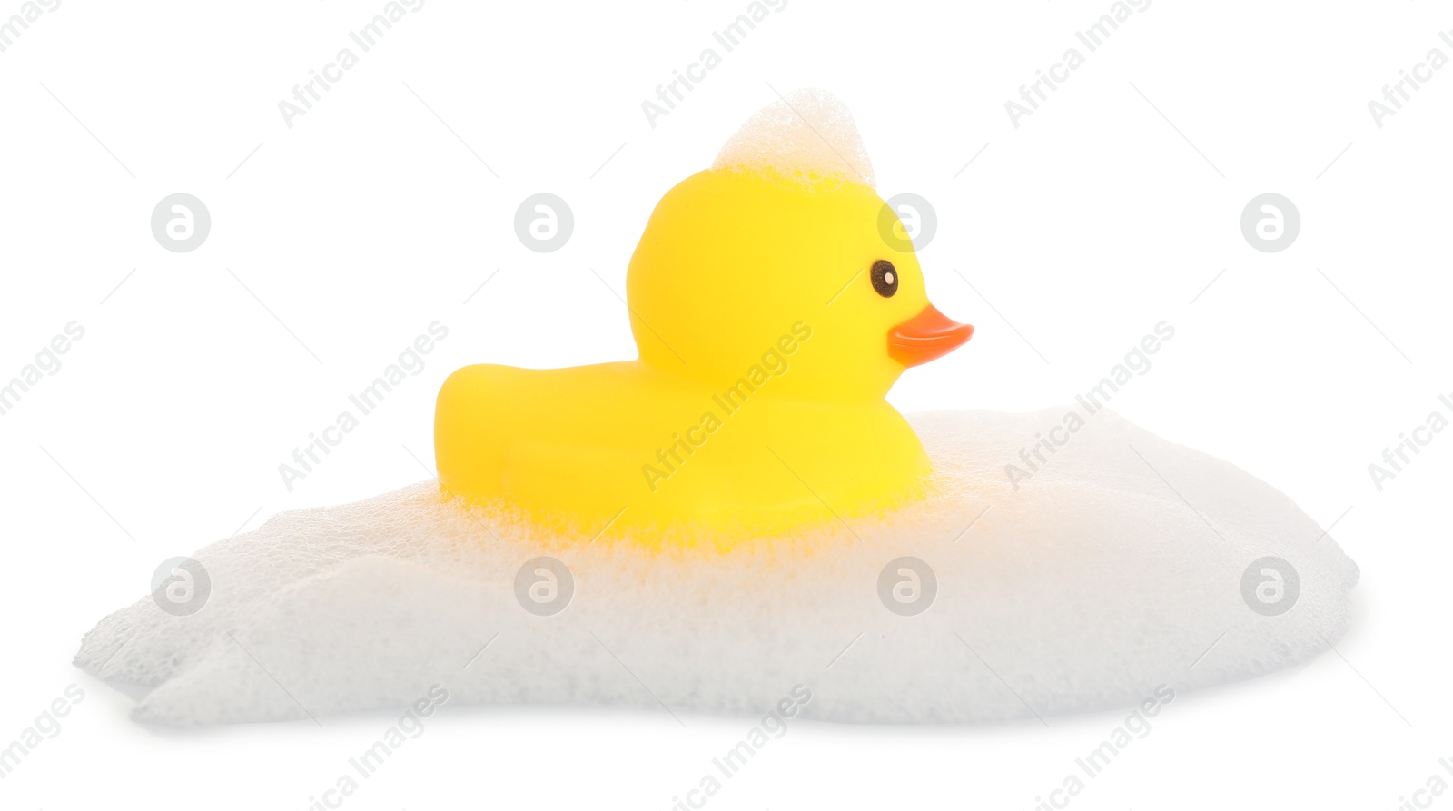 One cute rubber duck and foam isolated on white Photo of One cute rubber duck and foam isolated on white