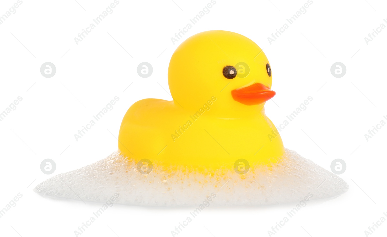 One cute rubber duck and foam isolated on white Photo of One cute rubber duck and foam isolated on white