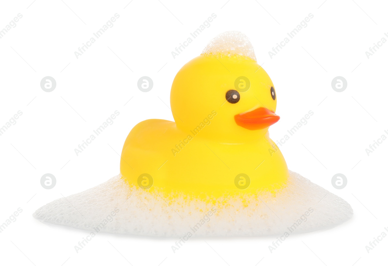 One cute rubber duck and foam isolated on white Photo of One cute rubber duck and foam isolated on white