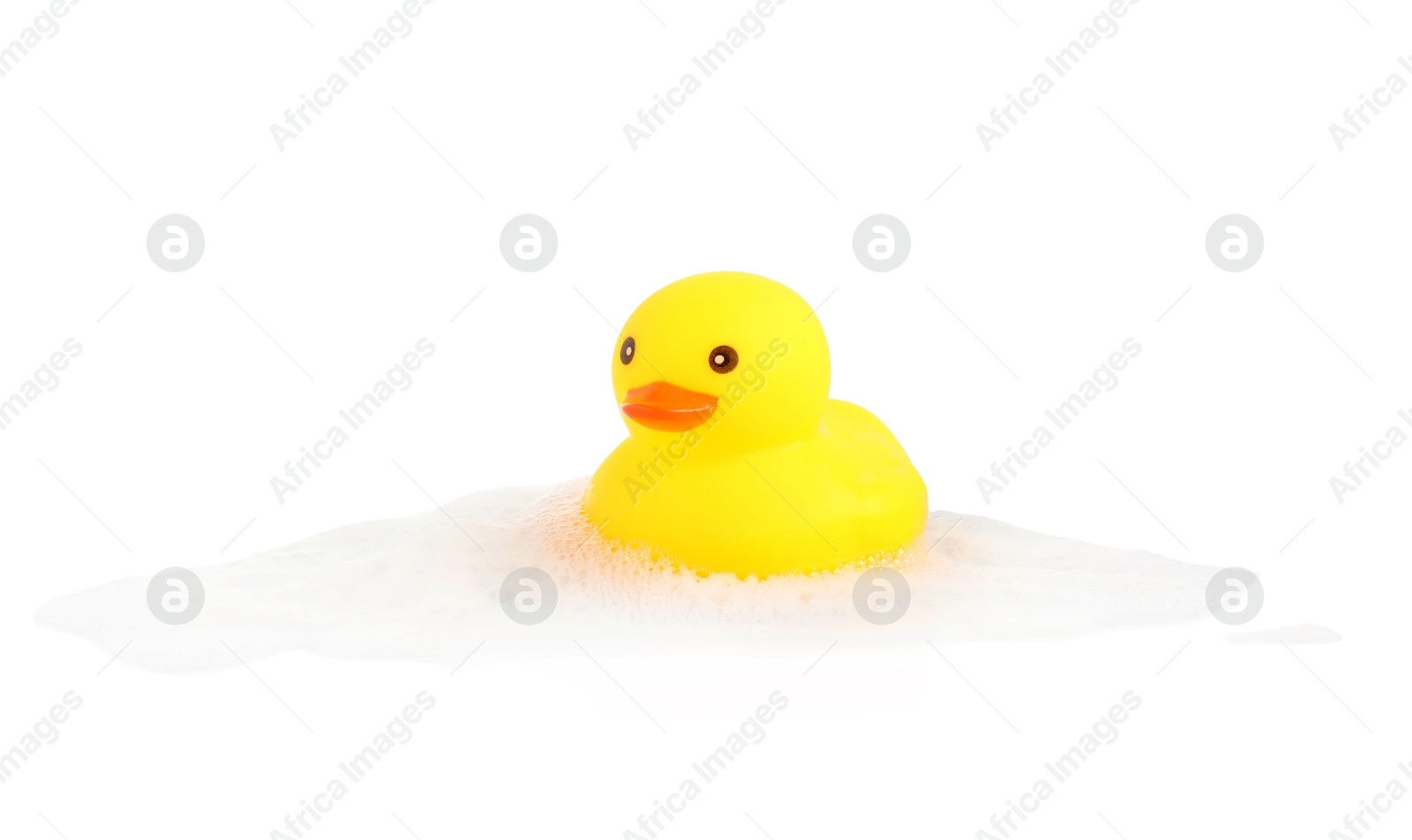 One cute rubber duck and foam isolated on white Photo of One cute rubber duck and foam isolated on white