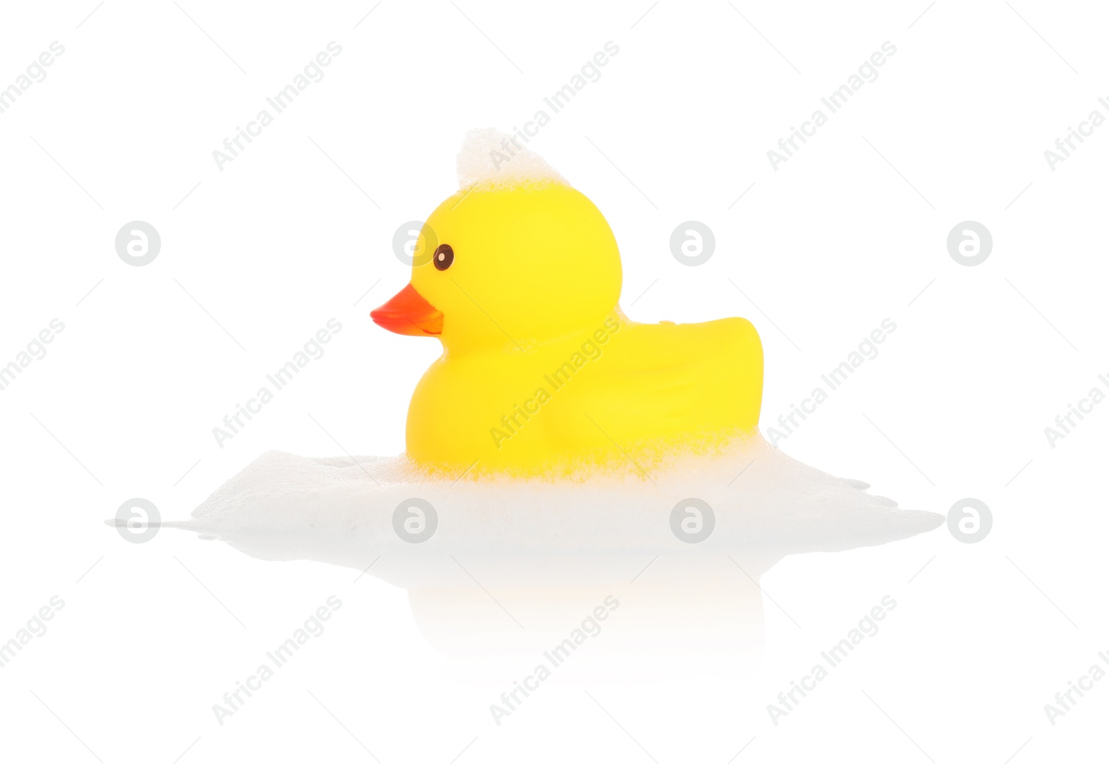 One cute rubber duck and foam on mirror surface against white background Photo of One cute rubber duck and foam on mirror surface against white background