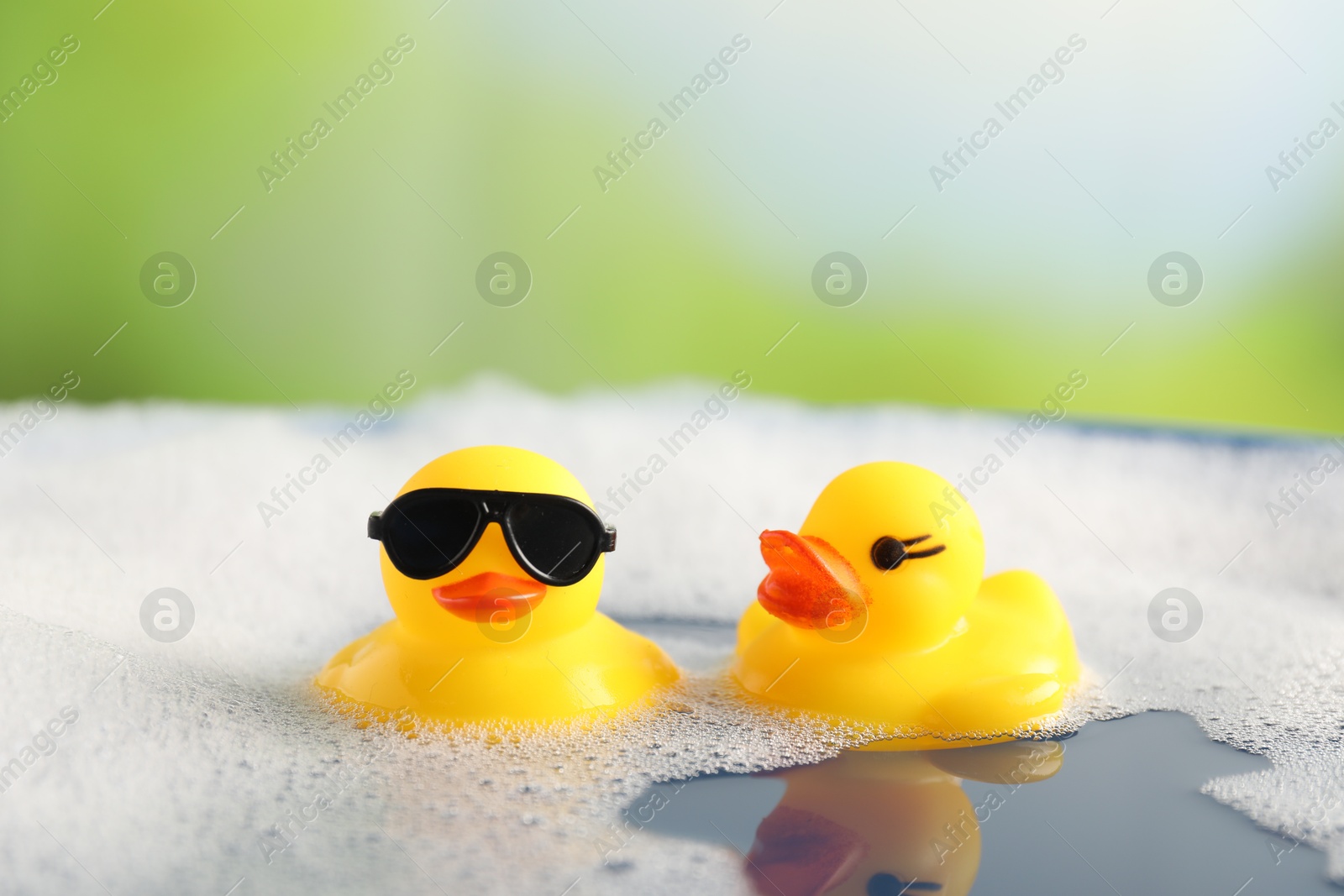 Cute rubber ducks floating in water with bubbles against blurred green background, closeup Photo of Cute rubber ducks floating in water with bubbles against blurred green background, closeup