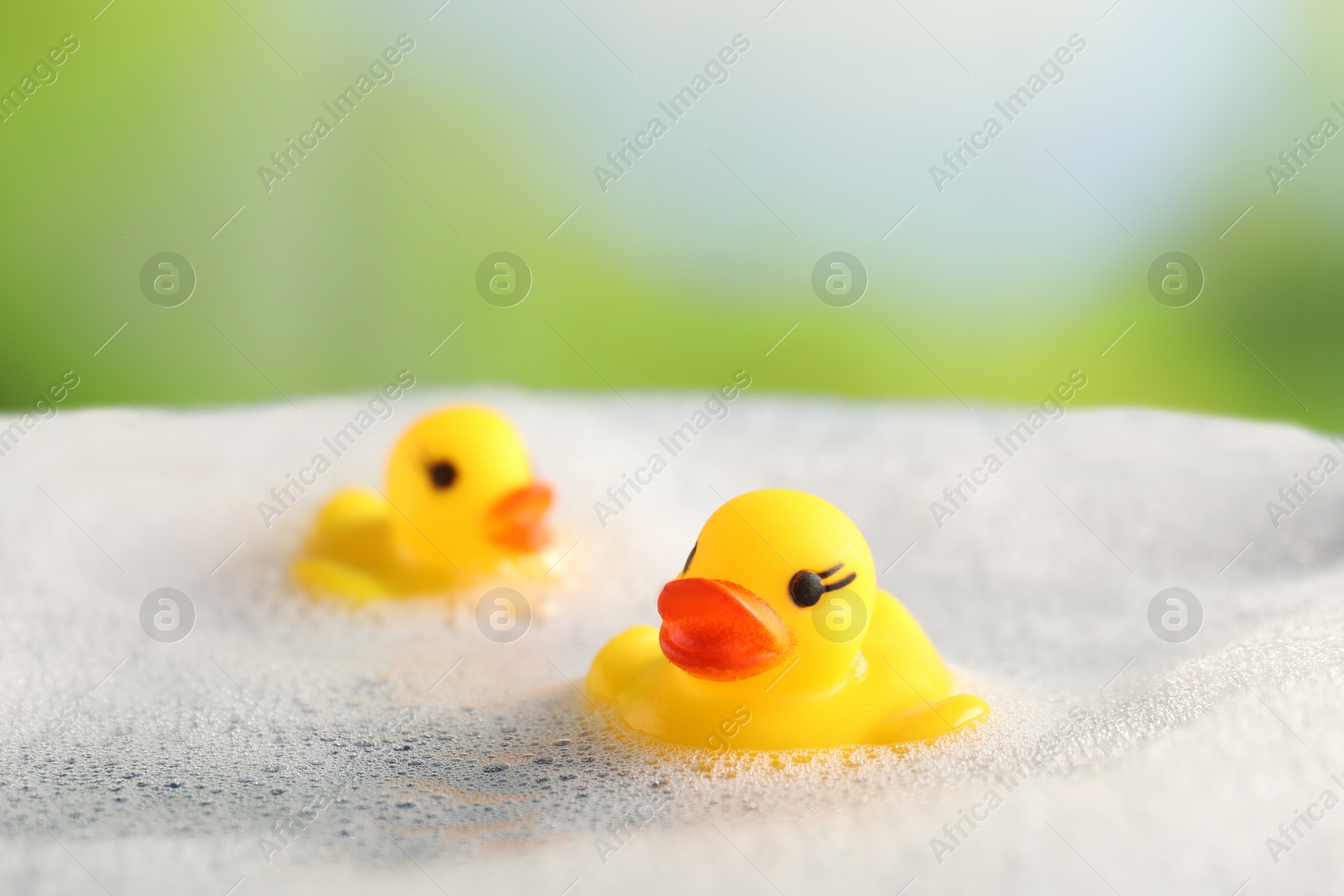Cute rubber ducks floating in water with bubbles against blurred green background, closeup Photo of Cute rubber ducks floating in water with bubbles against blurred green background, closeup
