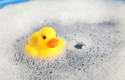 Photo of Cute rubber duck floating in water with foam, closeup