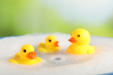 Photo of Cute rubber ducks floating in water with bubbles against blurred green background, closeup
