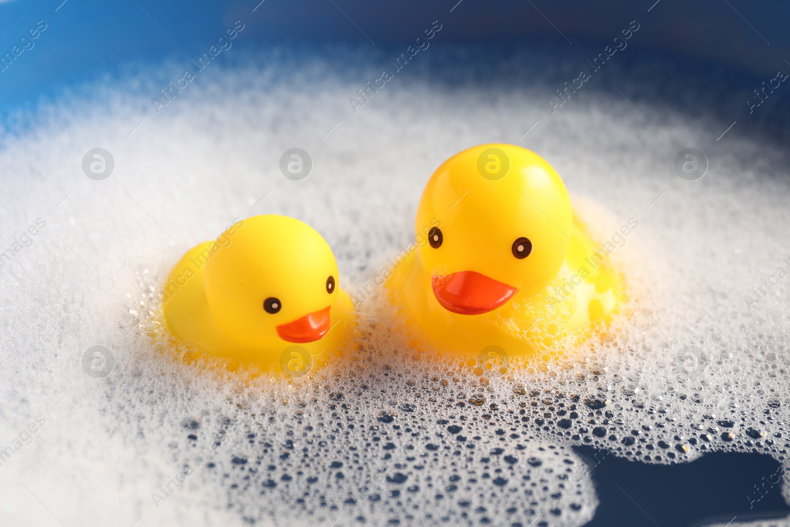 Cute rubber ducks floating in water with bubbles against blue background, closeup Photo of Cute rubber ducks floating in water with bubbles against blue background, closeup