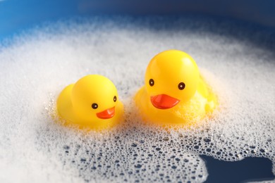 Photo of Cute rubber ducks floating in water with bubbles against blue background, closeup