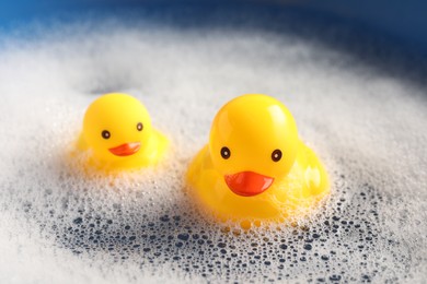 Photo of Cute rubber ducks floating in water with bubbles against blue background, closeup