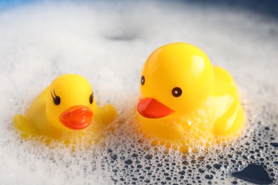 Photo of Cute rubber ducks floating in water with bubbles, closeup