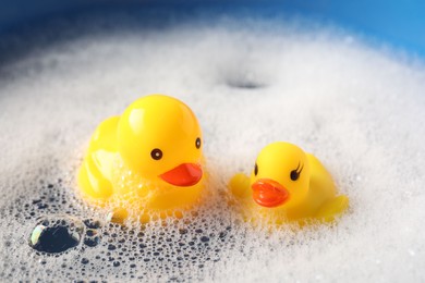 Photo of Cute rubber ducks floating in water with bubbles against blue background, closeup