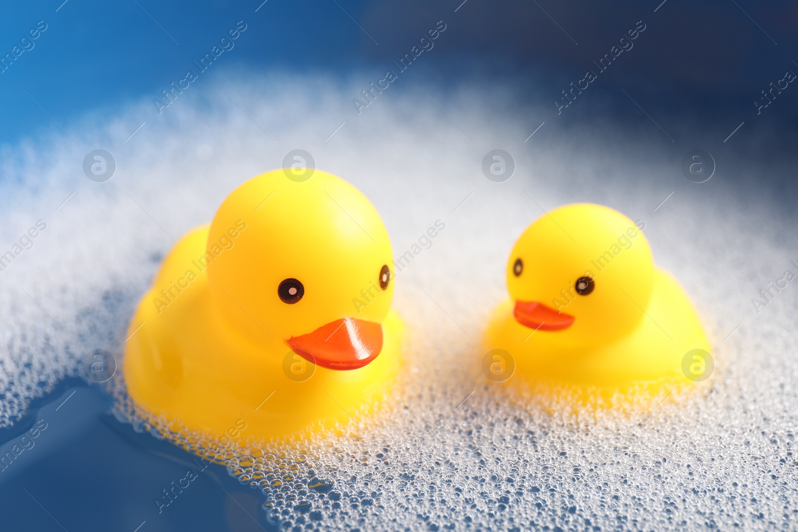 Cute rubber ducks floating in water with bubbles, closeup Photo of Cute rubber ducks floating in water with bubbles, closeup