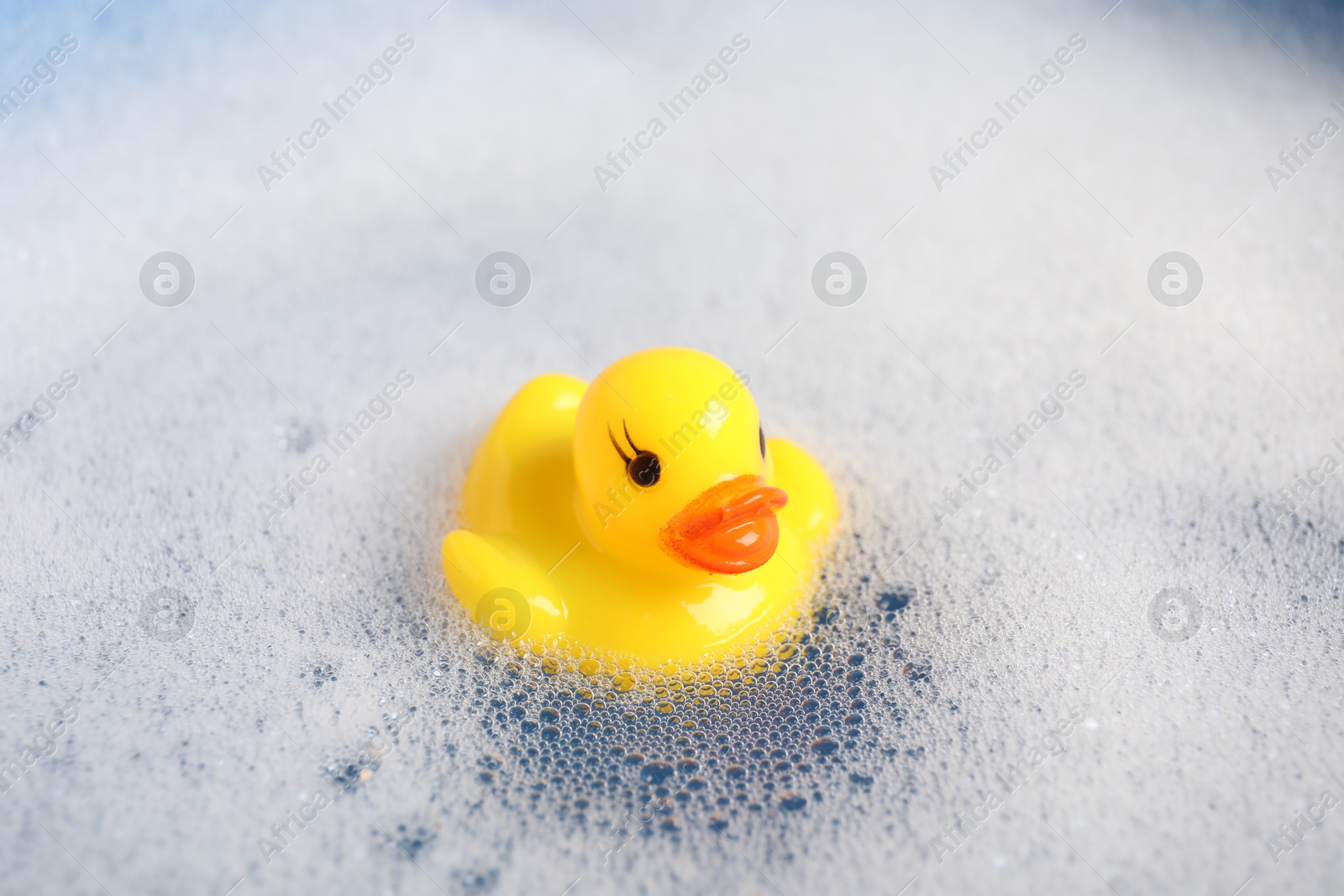 Cute rubber duck floating in water with foam, closeup Photo of Cute rubber duck floating in water with foam, closeup