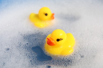 Photo of Cute rubber ducks floating in water with bubbles, closeup