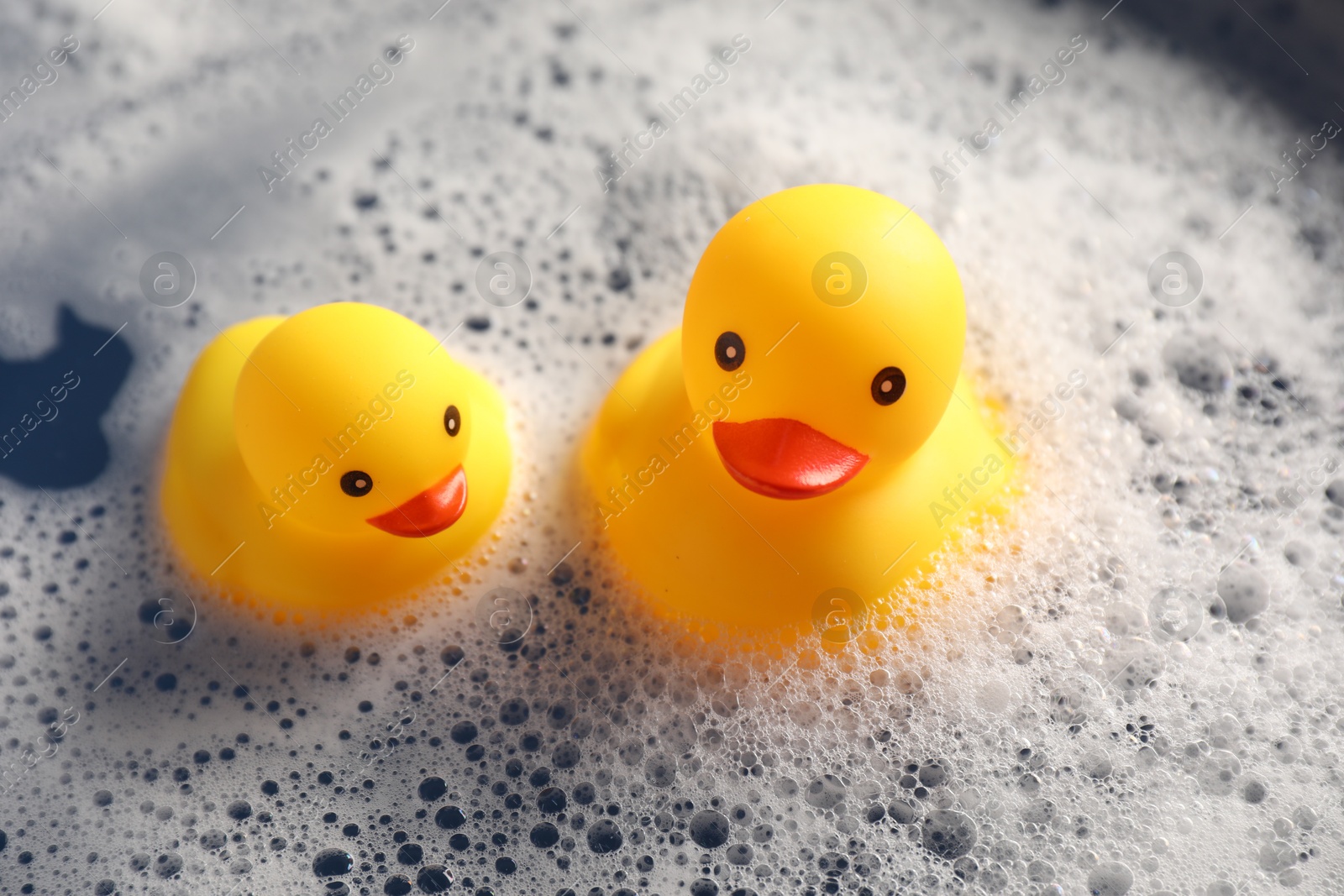 Cute rubber ducks floating in water with foam, above view Photo of Cute rubber ducks floating in water with foam, above view
