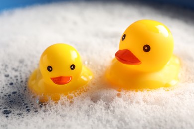 Photo of Cute rubber ducks floating in water with foam, closeup