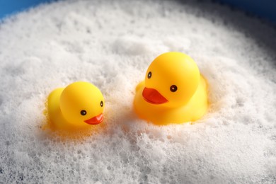 Photo of Cute rubber ducks floating in water with foam, closeup