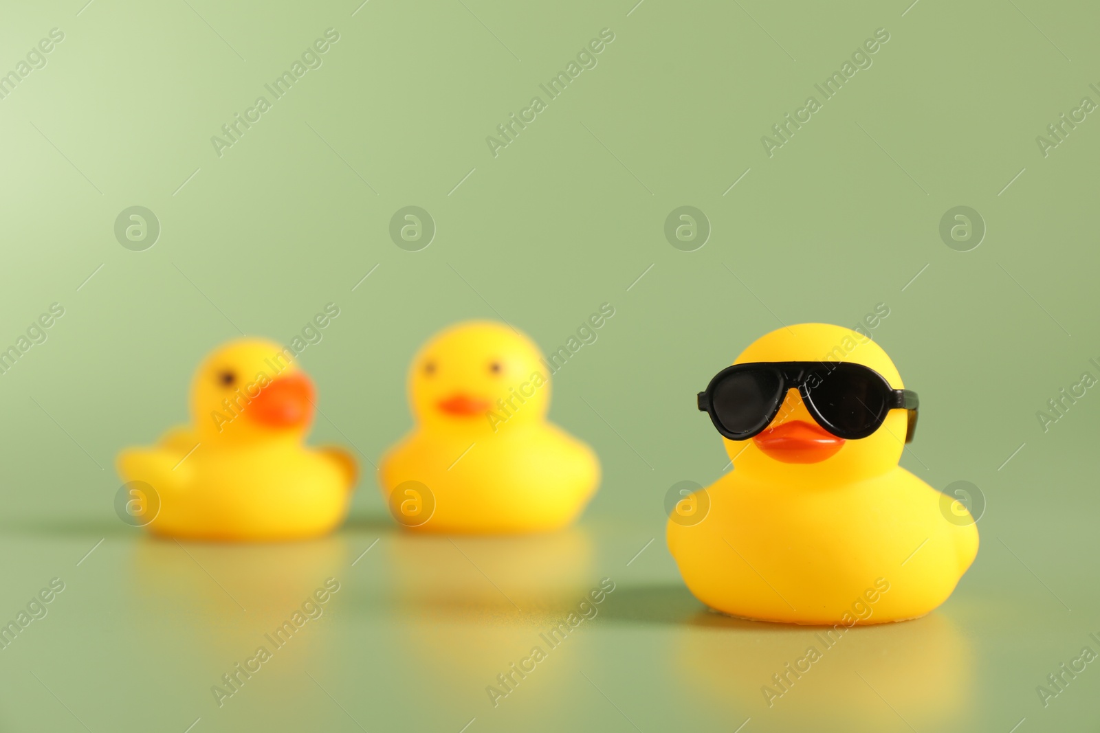 Three cute rubber ducks on green background, selective focus Photo of Three cute rubber ducks on green background, selective focus
