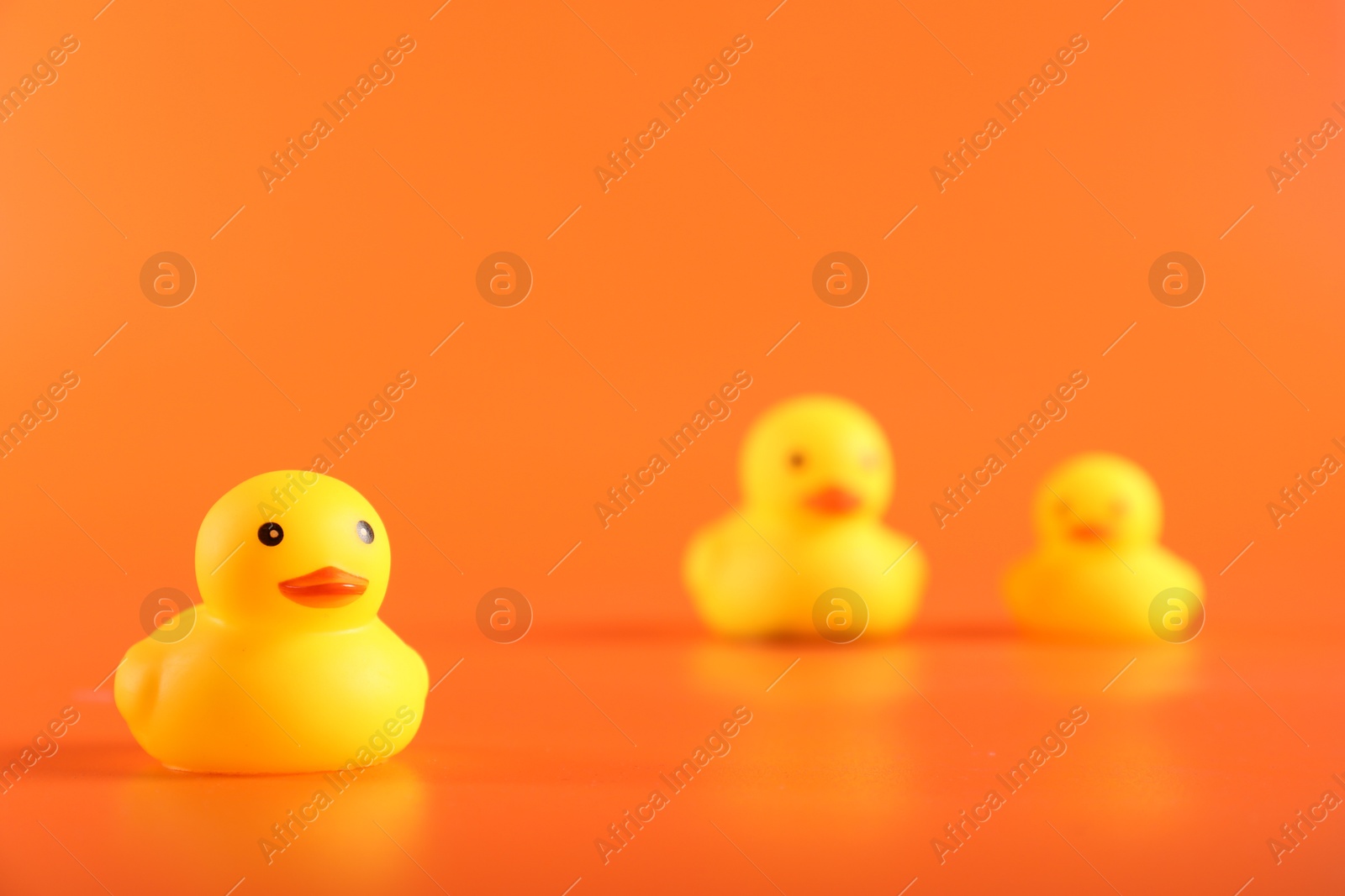 Three cute rubber ducks on orange background, selective focus. Space for text Photo of Three cute rubber ducks on orange background, selective focus. Space for text