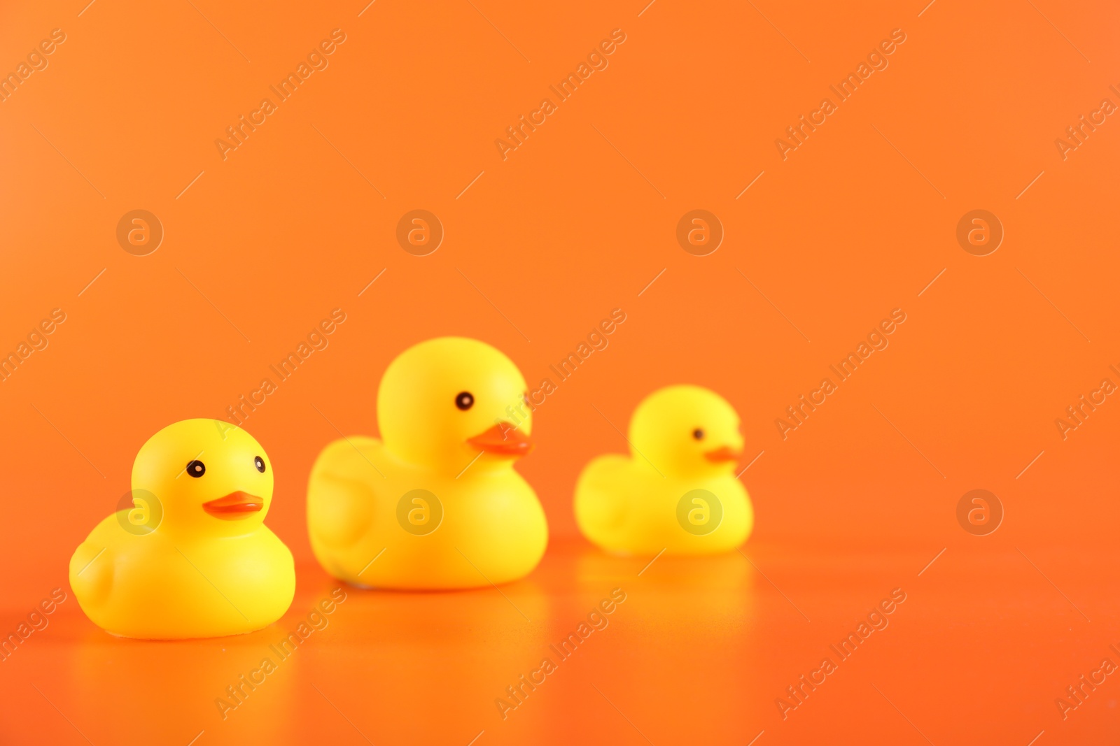 Three cute rubber ducks on orange background, closeup. Space for text Photo of Three cute rubber ducks on orange background, closeup. Space for text