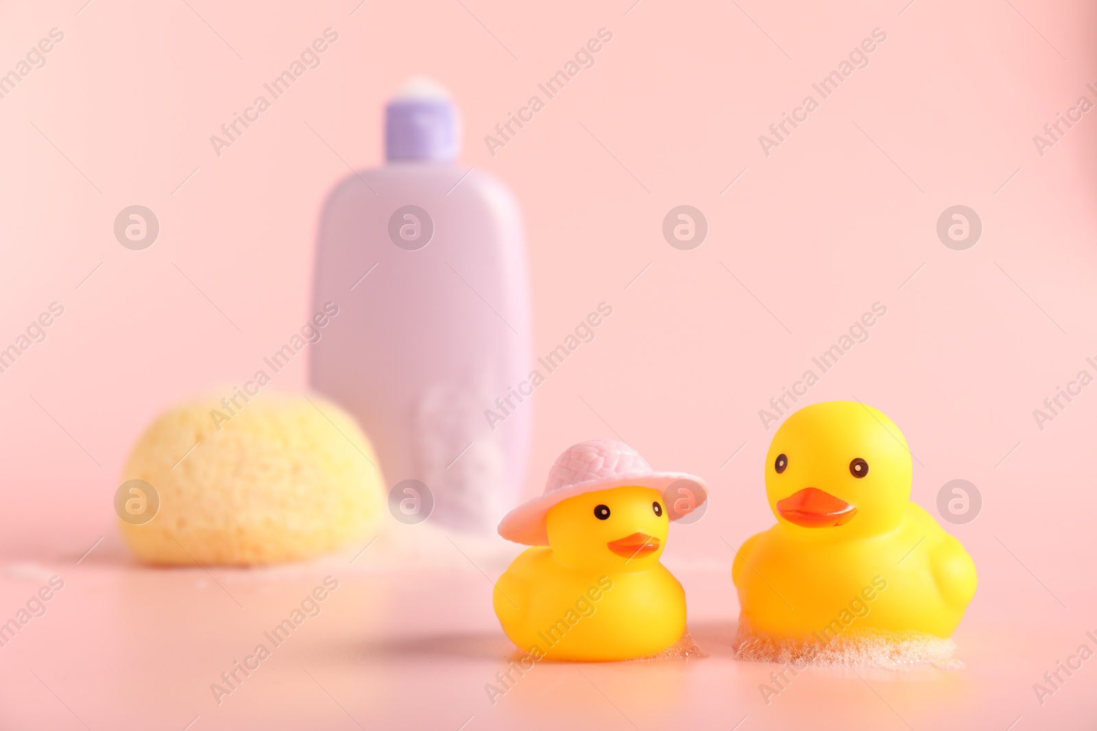 Cute rubber ducks, sponge and bottle of shampoo on pink background Photo of Cute rubber ducks, sponge and bottle of shampoo on pink background