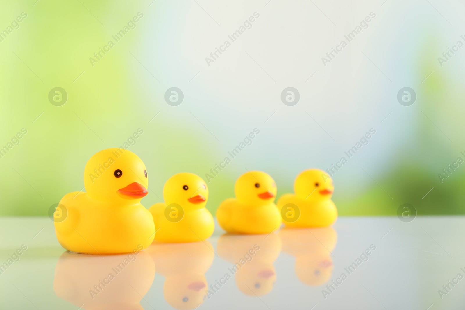 Cute rubber ducks on table against blurred background, closeup. Space for text Photo of Cute rubber ducks on table against blurred background, closeup. Space for text