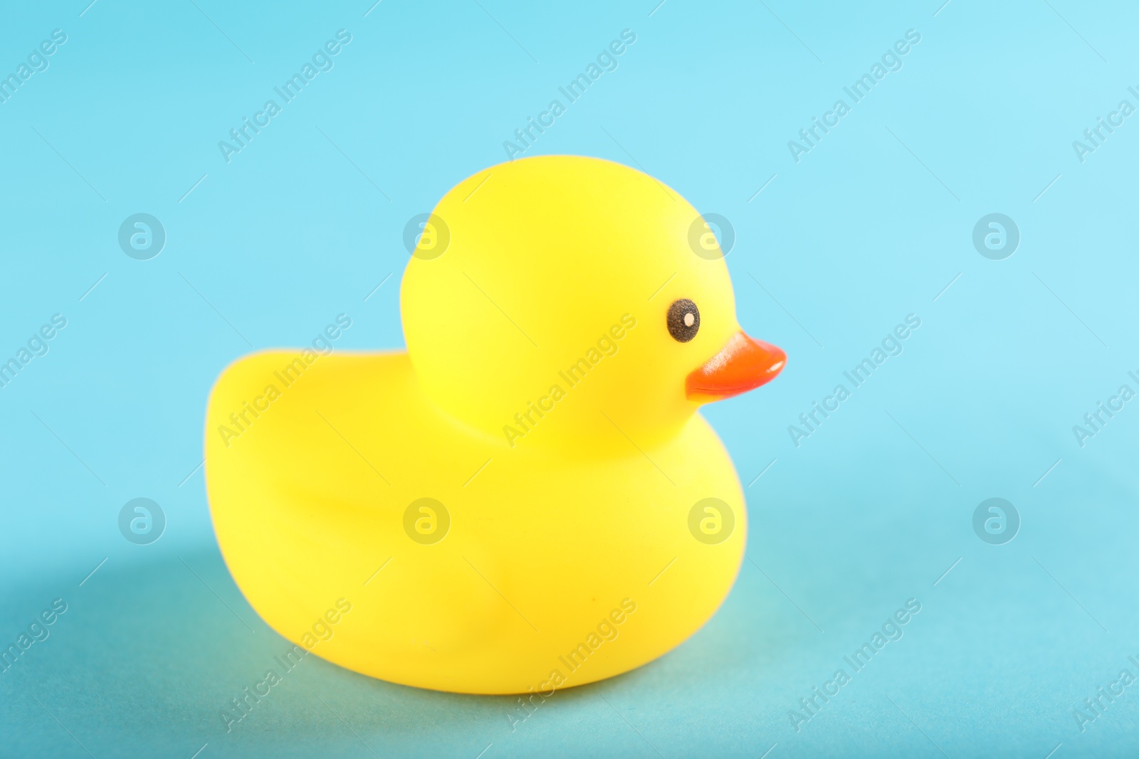 One cute rubber duck on light blue background, closeup Photo of One cute rubber duck on light blue background, closeup