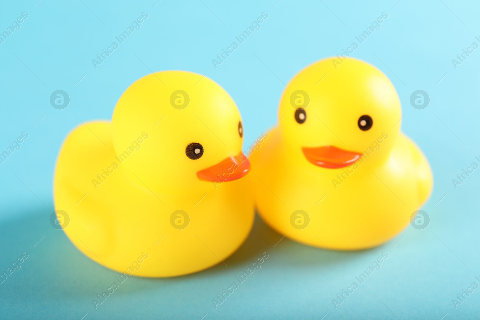 Photo of Two cute rubber ducks on light blue background, closeup