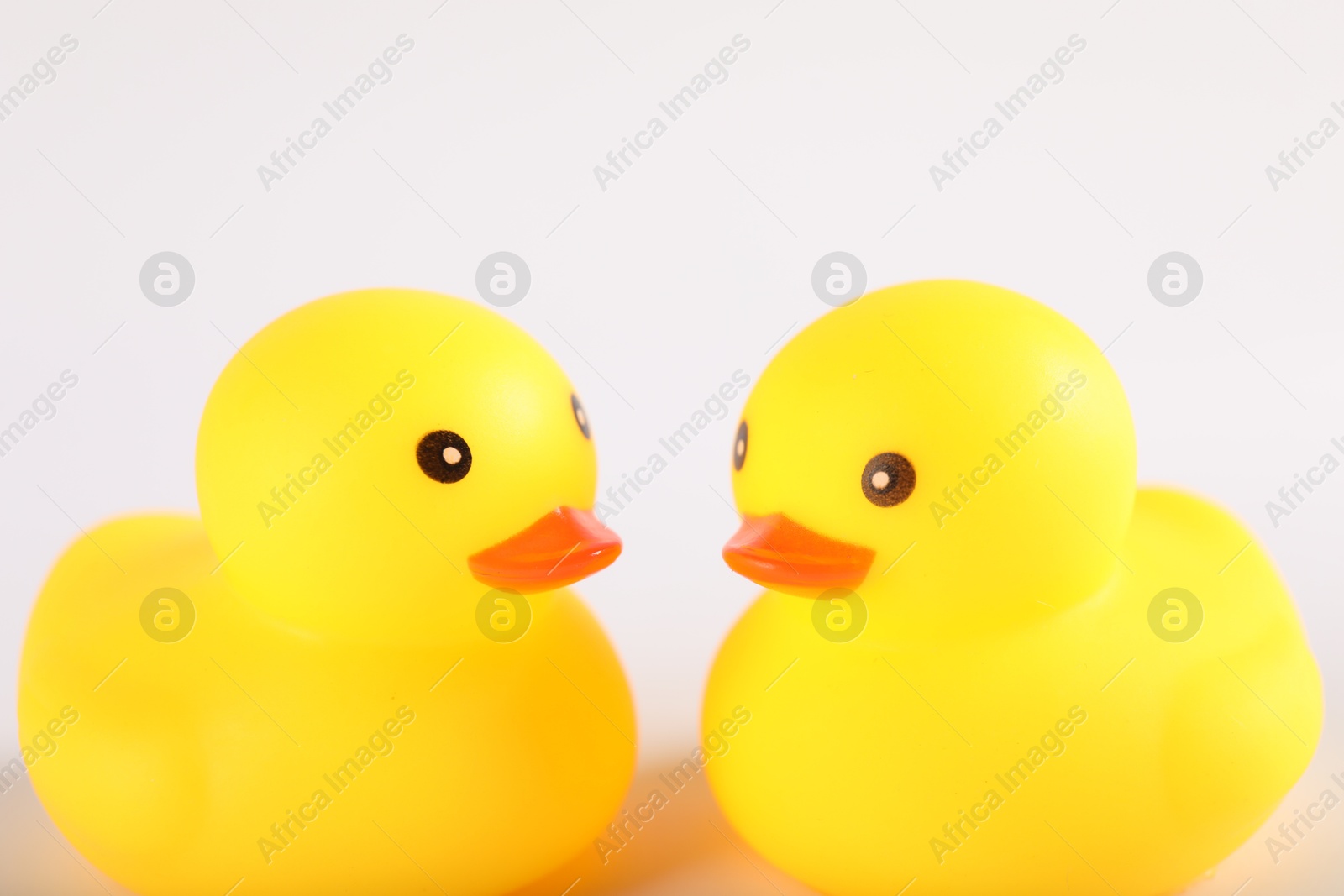 Two cute rubber ducks on white background, closeup Photo of Two cute rubber ducks on white background, closeup