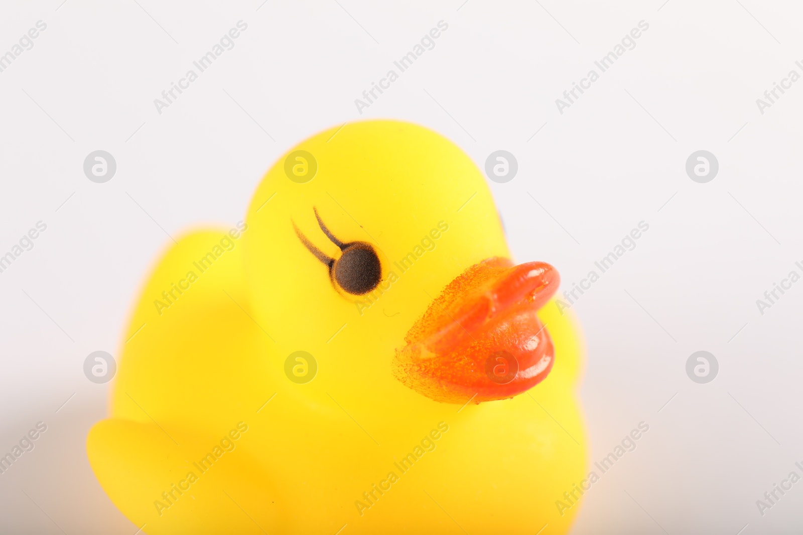 One cute rubber duck on white background, closeup Photo of One cute rubber duck on white background, closeup