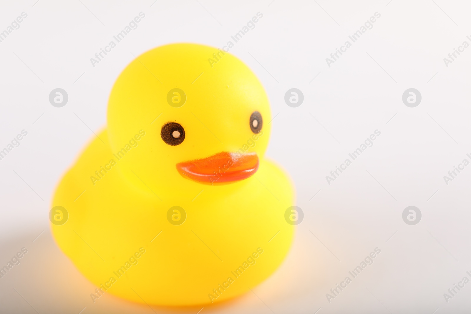One cute rubber duck on white background, closeup. Space for text Photo of One cute rubber duck on white background, closeup. Space for text