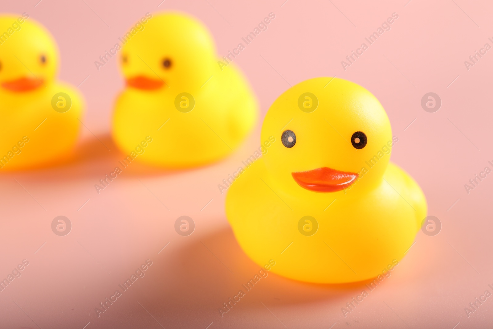 Three cute rubber ducks on pink background, closeup Photo of Three cute rubber ducks on pink background, closeup