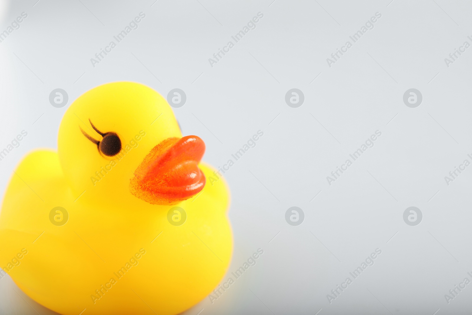 One cute rubber duck on white background, closeup. Space for text Photo of One cute rubber duck on white background, closeup. Space for text