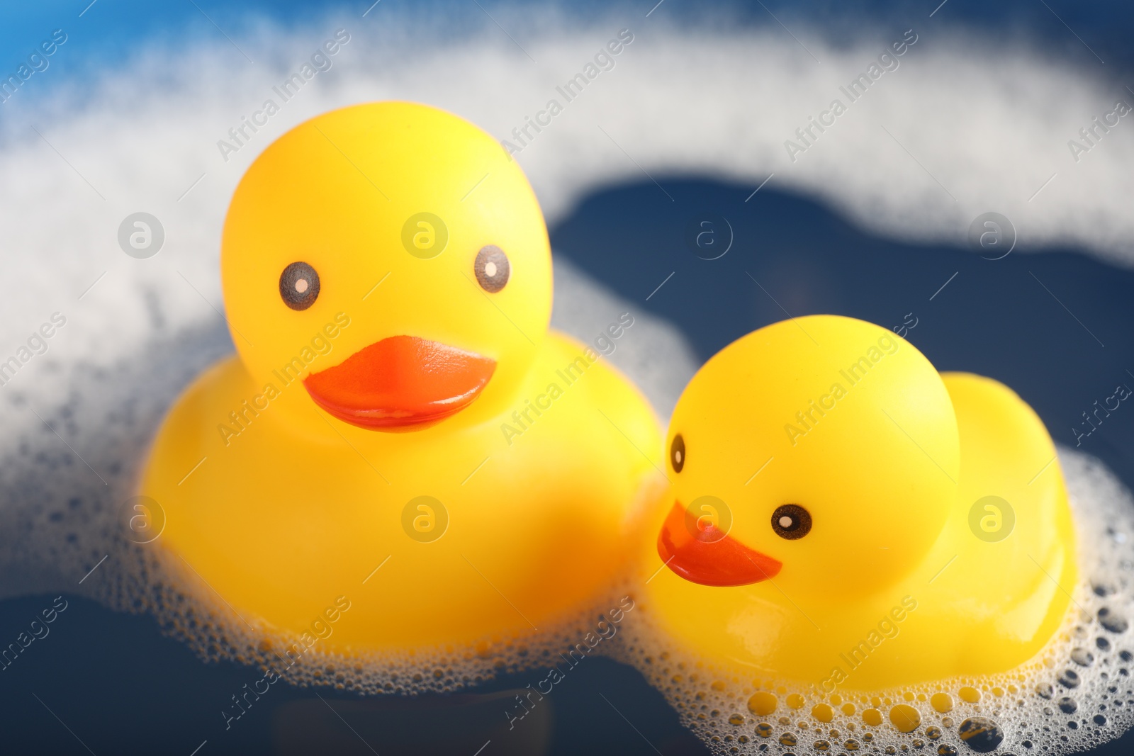 Cute rubber ducks floating in water with foam, closeup Photo of Cute rubber ducks floating in water with foam, closeup