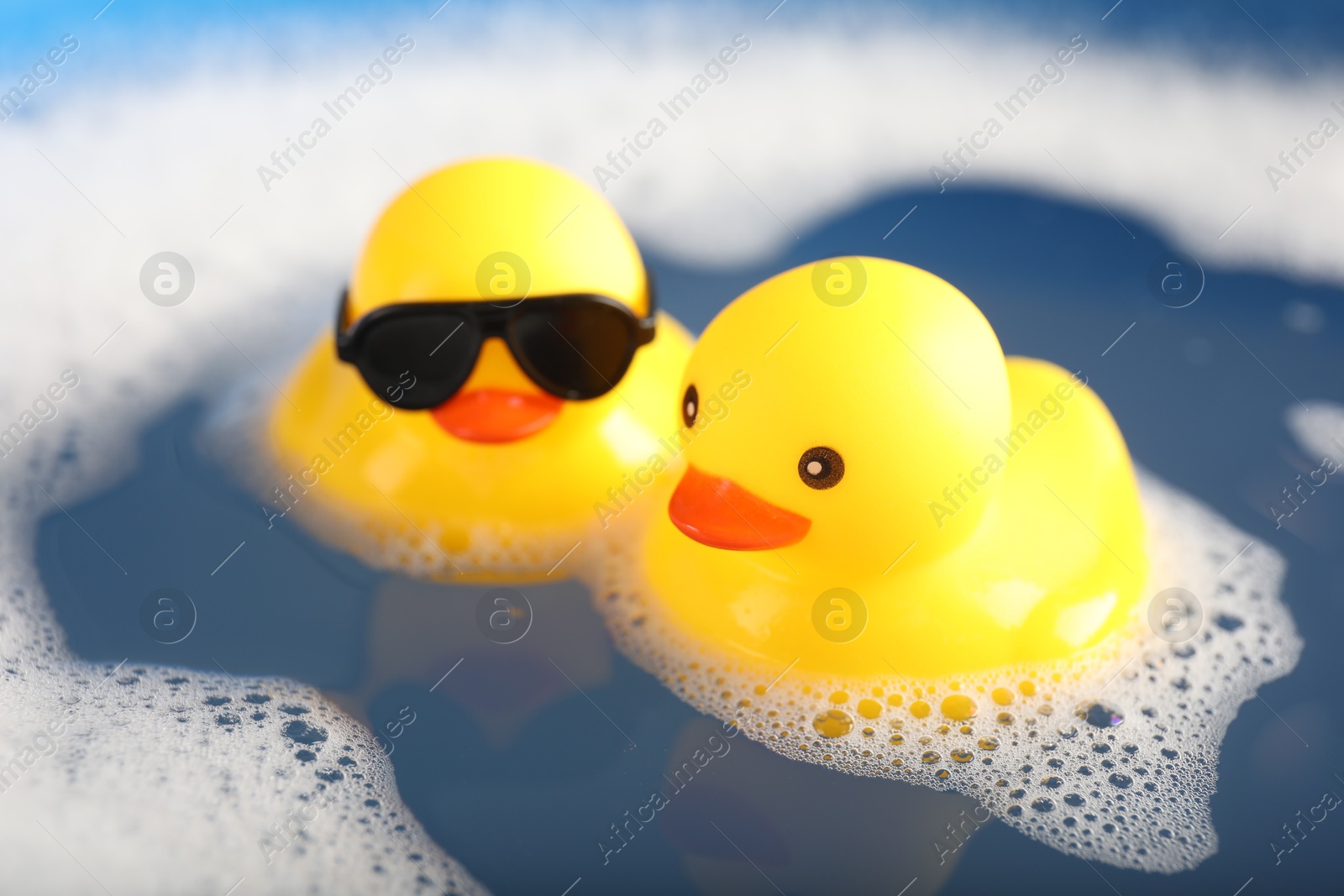 Cute rubber ducks floating in water with foam, closeup Photo of Cute rubber ducks floating in water with foam, closeup