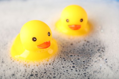 Photo of Cute rubber ducks floating in water with foam, closeup