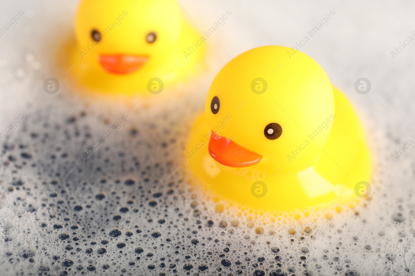 Cute rubber ducks floating in water with foam, closeup Photo of Cute rubber ducks floating in water with foam, closeup