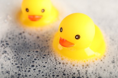 Photo of Cute rubber ducks floating in water with foam, closeup