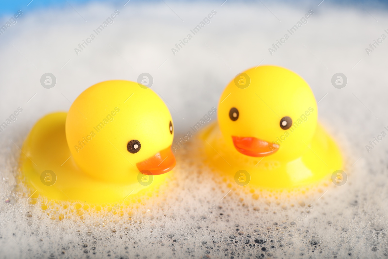 Cute rubber ducks floating in water with foam, closeup Photo of Cute rubber ducks floating in water with foam, closeup