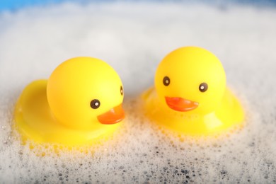 Photo of Cute rubber ducks floating in water with foam, closeup