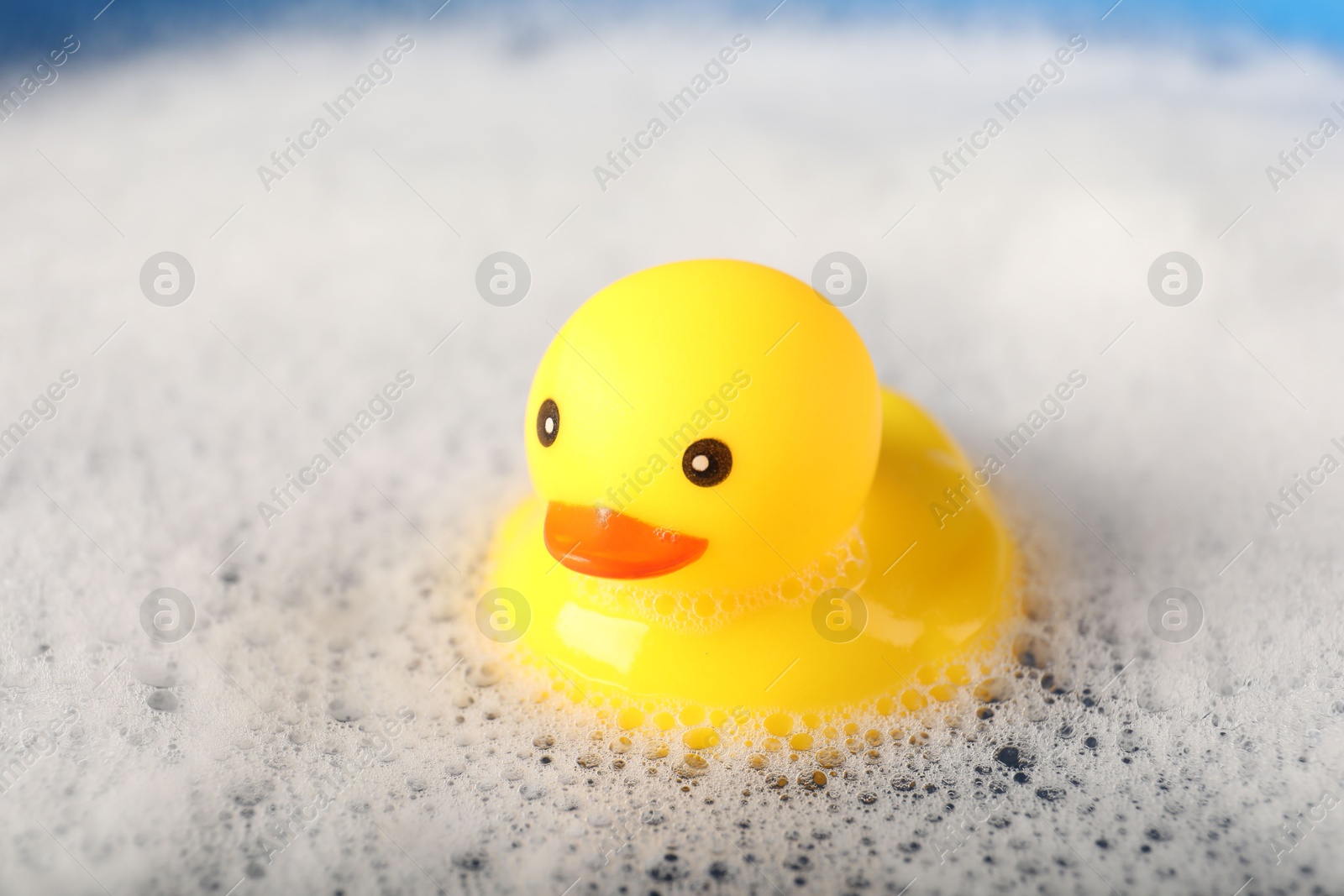 Cute rubber duck floating in water with foam, closeup Photo of Cute rubber duck floating in water with foam, closeup
